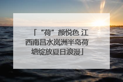“荷”颜悦色 江西南昌水岚洲半岛荷塘绽放夏日浪漫