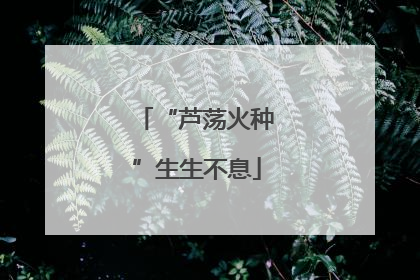 “芦荡火种”生生不息
