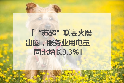 “苏超”联赛火爆出圈，服务业用电量同比增长9.3%