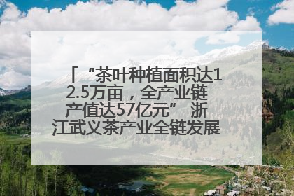 “茶叶种植面积达12.5万亩，全产业链产值达57亿元” 浙江武义茶产业全链发展“加速度”