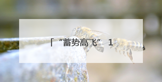 “蓄势高飞” 14个低空经济产业项目落地成都都市圈