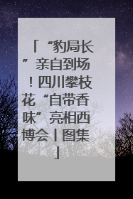“豹局长”亲自到场！四川攀枝花“自带香味”亮相西博会丨图集