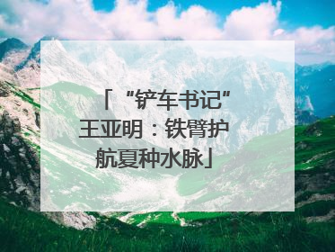 “铲车书记”王亚明：铁臂护航夏种水脉