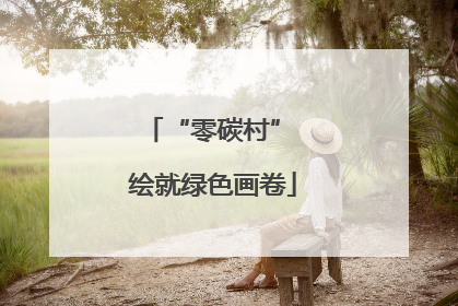 “零碳村” 绘就绿色画卷