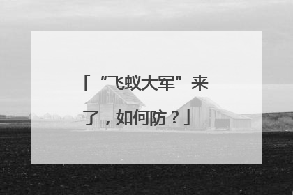 “飞蚁大军”来了，如何防？