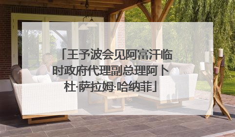 王予波会见阿富汗临时政府代理副总理阿卜杜·萨拉姆·哈纳菲