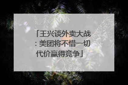 王兴谈外卖大战：美团将不惜一切代价赢得竞争
