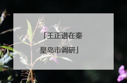 王正谱在秦皇岛市调研