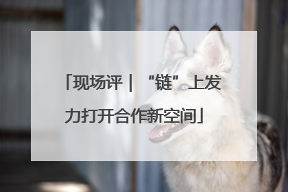 现场评｜“链”上发力打开合作新空间