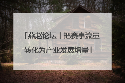 燕赵论坛丨把赛事流量转化为产业发展增量