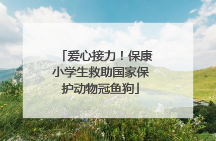 爱心接力！保康小学生救助国家保护动物冠鱼狗