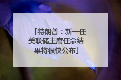 特朗普：新一任美联储主席任命结果将很快公布