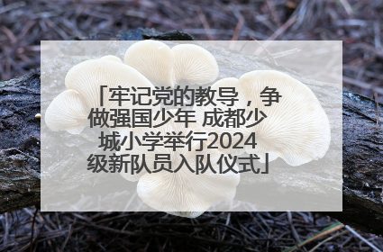 牢记党的教导，争做强国少年 成都少城小学举行2024级新队员入队仪式
