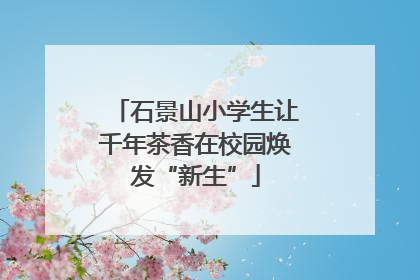 石景山小学生让千年茶香在校园焕发“新生”