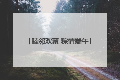 睦邻欢聚 粽情端午