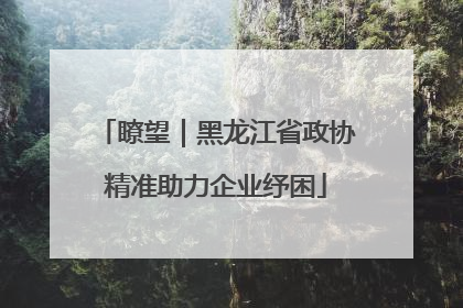 瞭望｜黑龙江省政协精准助力企业纾困