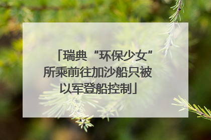 瑞典“环保少女”所乘前往加沙船只被以军登船控制