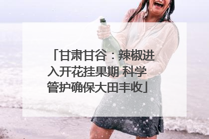 甘肃甘谷：辣椒进入开花挂果期 科学管护确保大田丰收