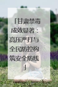 甘肃禁毒成效显著：高压严打与全民防控构筑安全防线