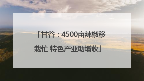 甘谷：4500亩辣椒移栽忙 特色产业助增收