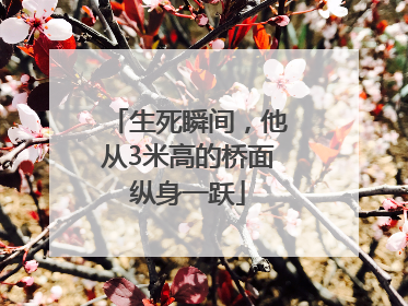 生死瞬间，他从3米高的桥面纵身一跃