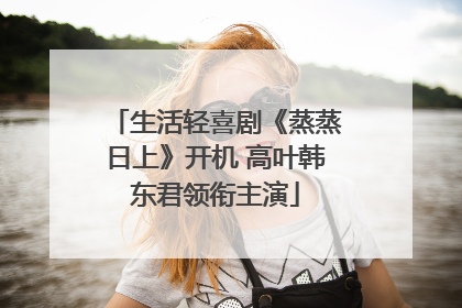 生活轻喜剧《蒸蒸日上》开机 高叶韩东君领衔主演