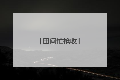 田间忙抢收