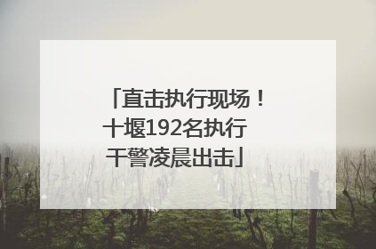 直击执行现场！十堰192名执行干警凌晨出击