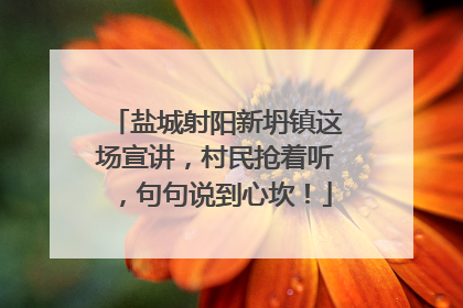盐城射阳新坍镇这场宣讲，村民抢着听，句句说到心坎！