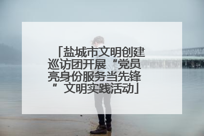 盐城市文明创建巡访团开展“党员亮身份服务当先锋”文明实践活动