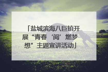 盐城滨海八巨镇开展“青春‘阅’燃梦想”主题宣讲活动