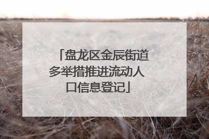盘龙区金辰街道多举措推进流动人口信息登记