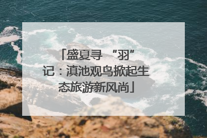 盛夏寻 “羽” 记：滇池观鸟掀起生态旅游新风尚