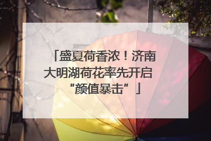 盛夏荷香浓！济南大明湖荷花率先开启“颜值暴击”