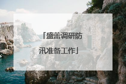盛蕾调研防汛准备工作