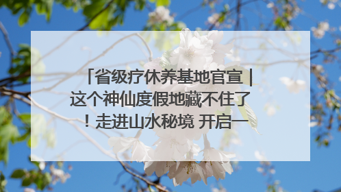 省级疗休养基地官宣｜这个神仙度假地藏不住了！走进山水秘境 开启一场野奢度假之旅！