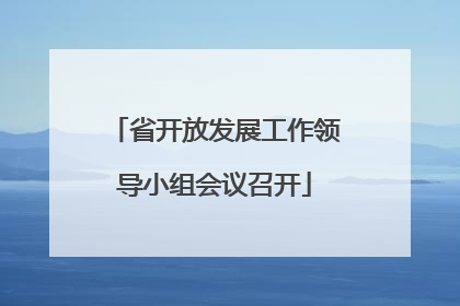 省开放发展工作领导小组会议召开