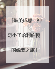 破茧成蝶：神奇小子哈利伯顿的蜕变之旅