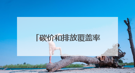 碳价和排放覆盖率双升 全球碳定价收入超千亿美元