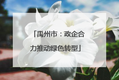禹州市：政企合力推动绿色转型