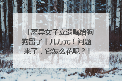 离异女子立遗嘱给狗狗留了十几万元！问题来了，它怎么花呢？