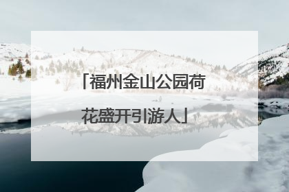 福州金山公园荷花盛开引游人