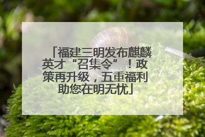 福建三明发布麒麟英才“召集令”！政策再升级，五重福利助您在明无忧