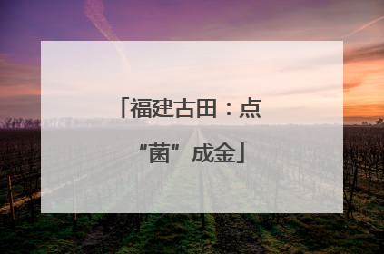 福建古田：点“菌”成金