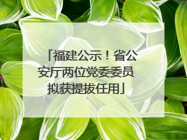 福建公示！省公安厅两位党委委员拟获提拔任用