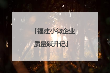 福建小微企业质量跃升记