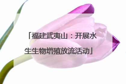 福建武夷山：开展水生生物增殖放流活动
