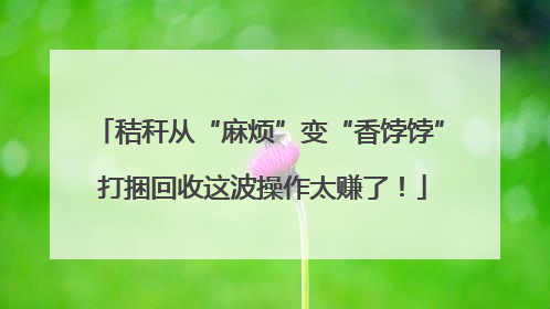 秸秆从“麻烦”变“香饽饽” 打捆回收这波操作太赚了！