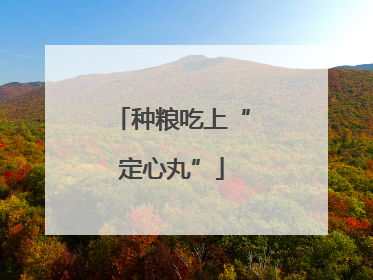 种粮吃上“定心丸”