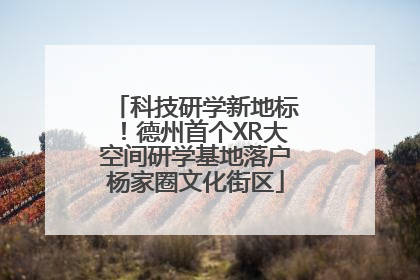 科技研学新地标！德州首个XR大空间研学基地落户杨家圈文化街区